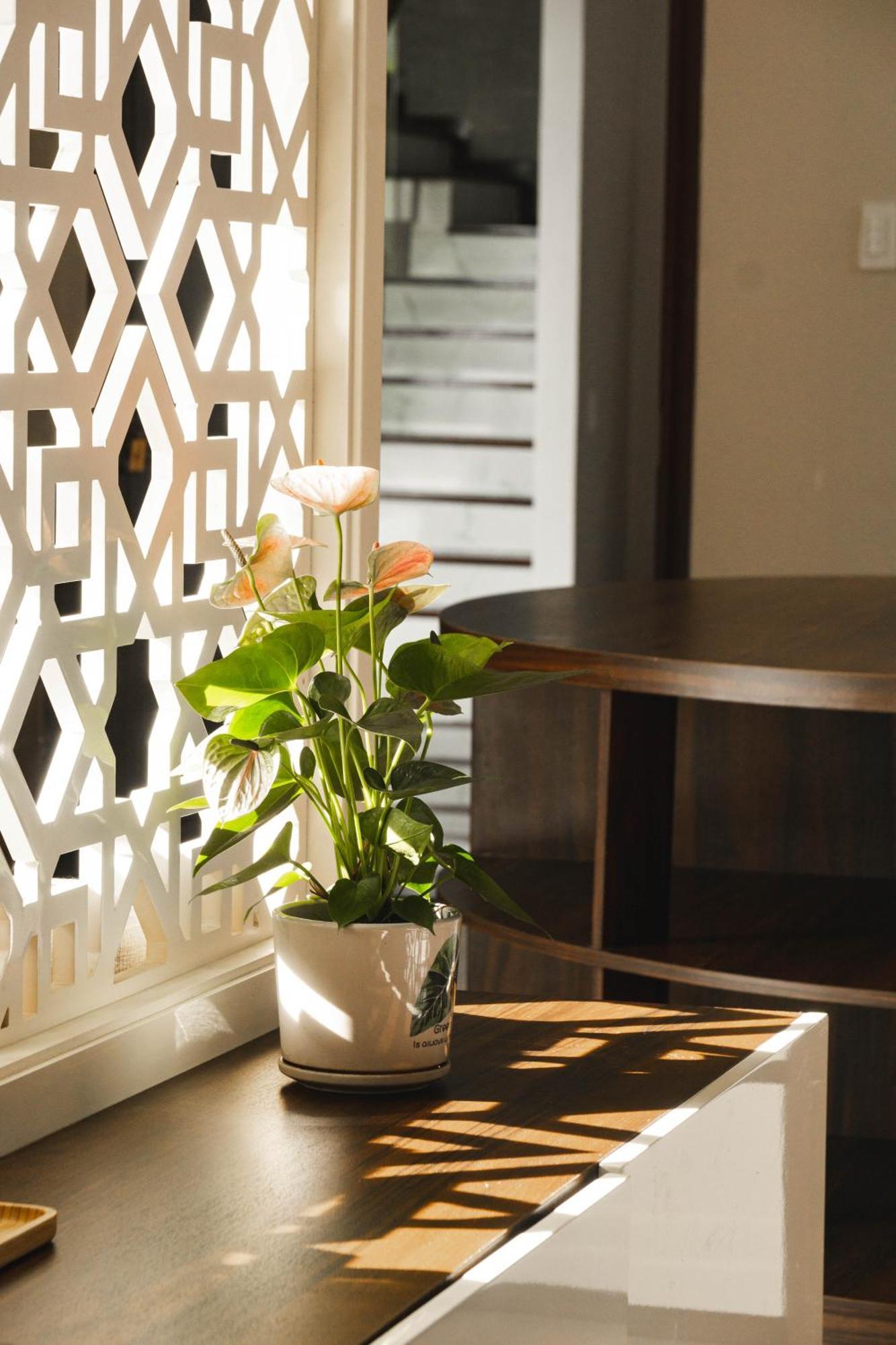 Shalom House _ Bao Loc Hotel Екстериор снимка